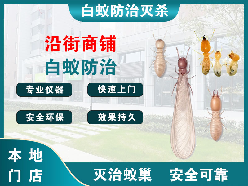 亭湖沿街商铺白蚁防治