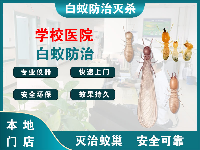 亭湖学校医院白蚁防治