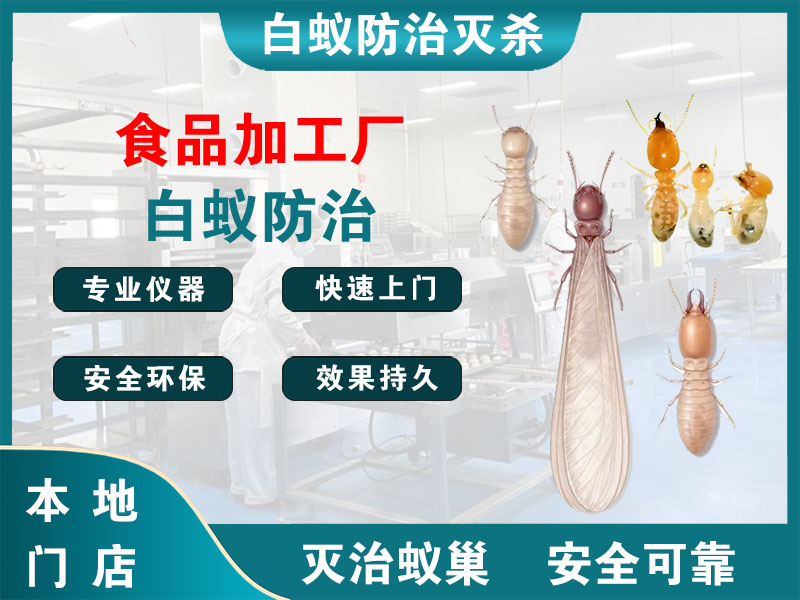 亭湖食品加工厂白蚁防治