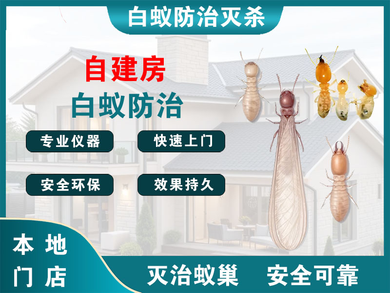 亭湖自建房白蚁防治