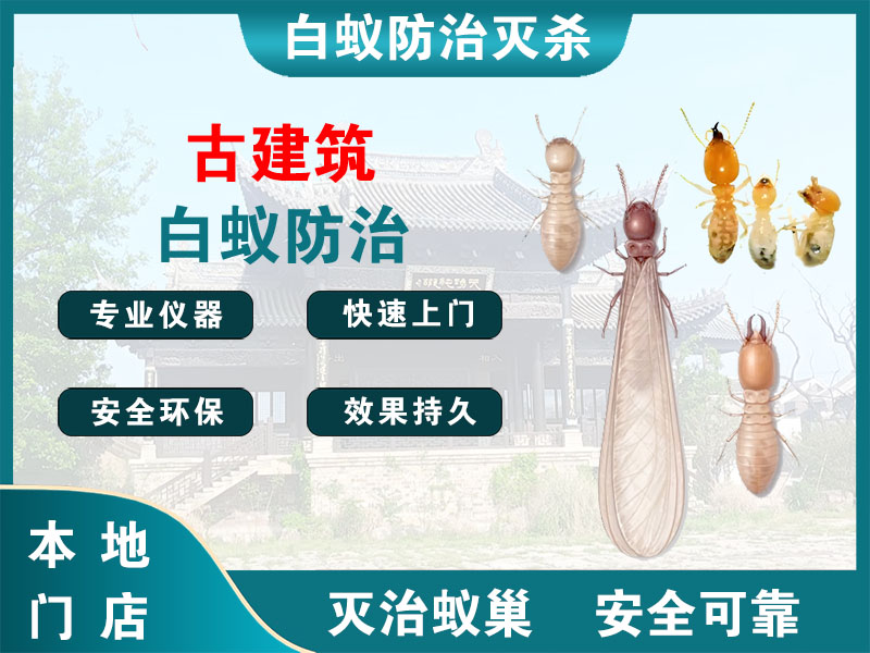 亭湖古建筑白蚁防治
