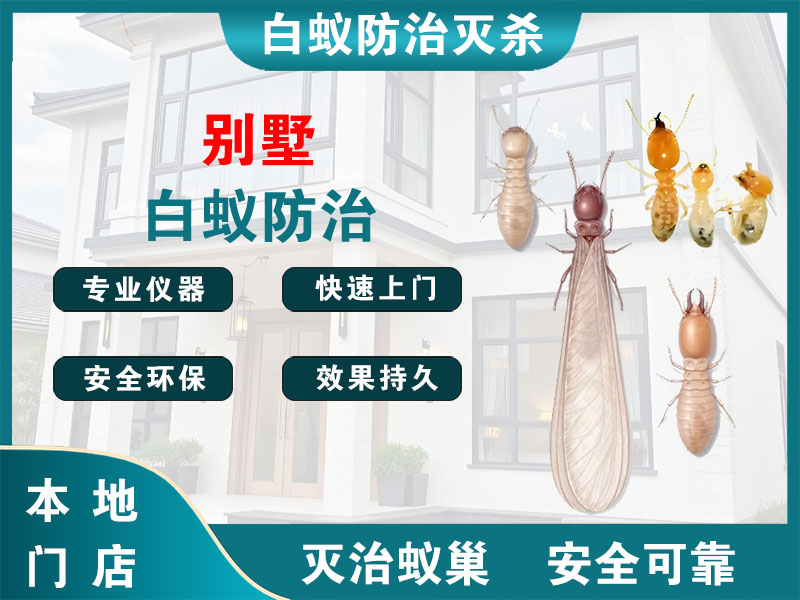 亭湖别墅白蚁防治