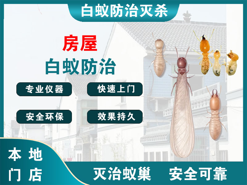 亭湖房屋白蚁防治
